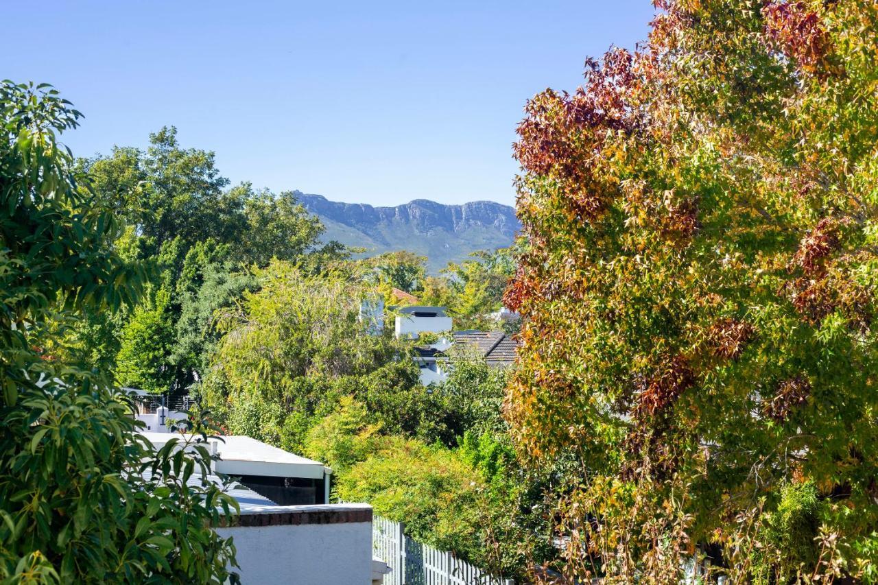 Hotel Krige 斯泰伦博斯 外观 照片